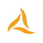 Kinsale Capital Group, Inc. Share Price